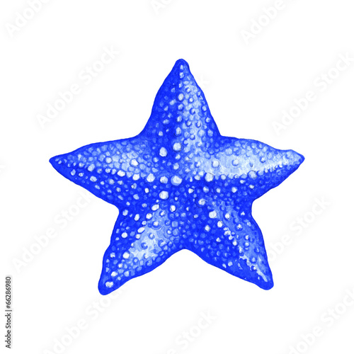 Starfish