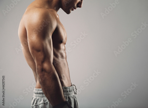 Cuadro en lienzo Muscular man torso on grey background with copy space