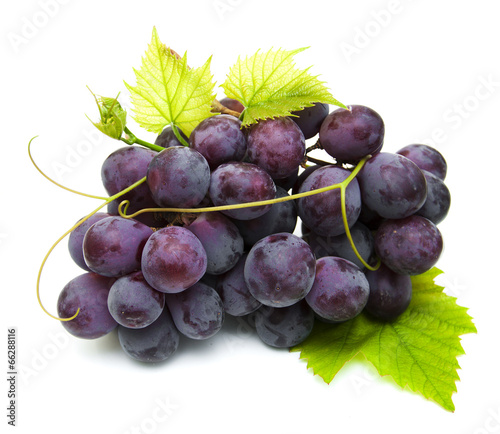 Fresh grape