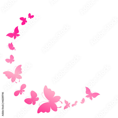butterflies design
