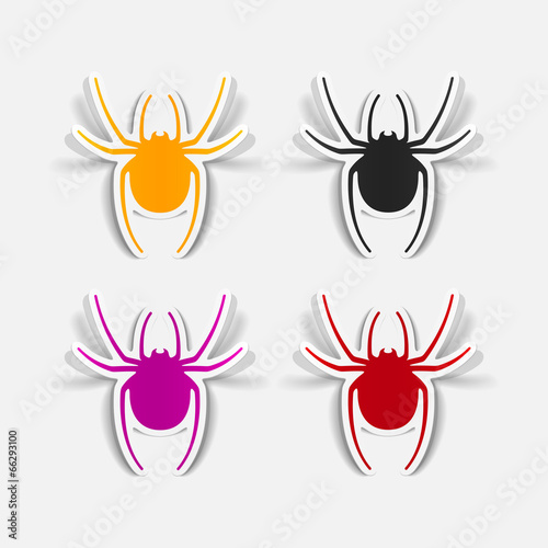 realistic design element: spider