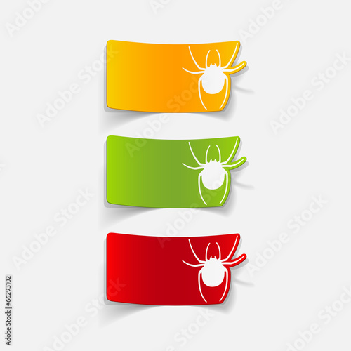 realistic design element: spider