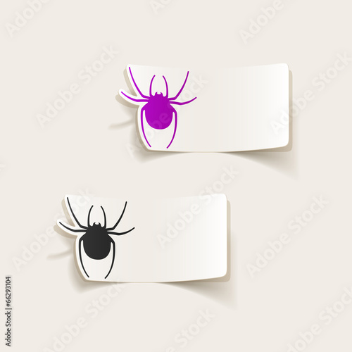 realistic design element: spider