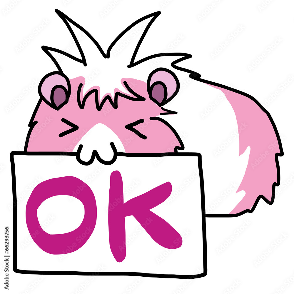 モルモットのイラスト Okサイン Stock イラスト Adobe Stock モルモットのイラスト Okサイン Stock イラスト Adobe Stock