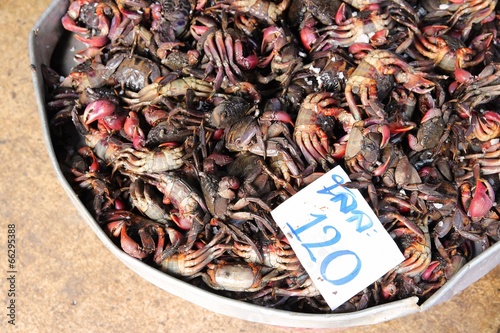 Seafood market in Asia photo