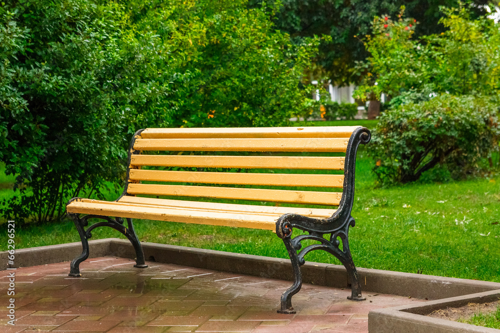 bench in the park after the rain