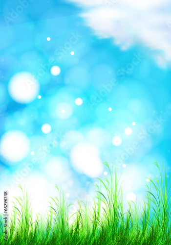 vector background with a blue sky, grass and sun