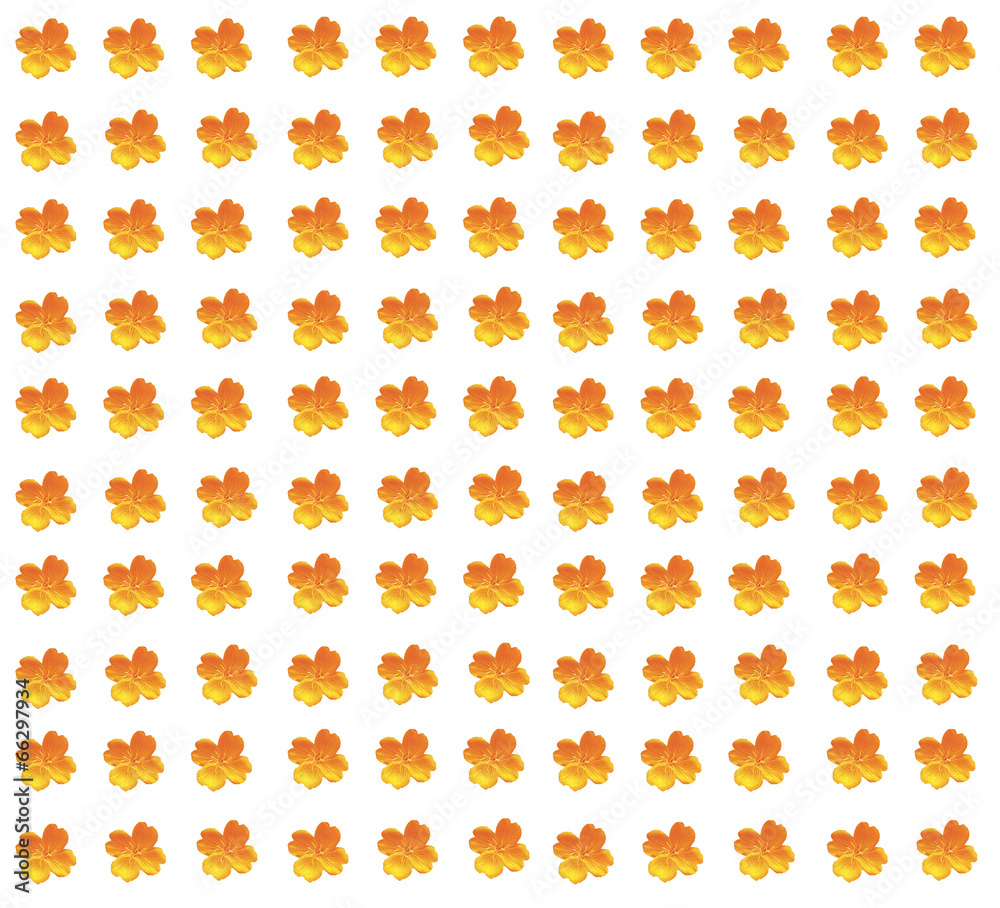 The background of flowers The background of flowers