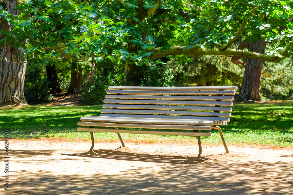 Bench in the park