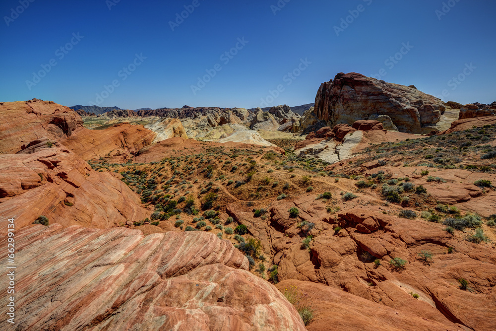 Fototapeta premium valley of fire, nv