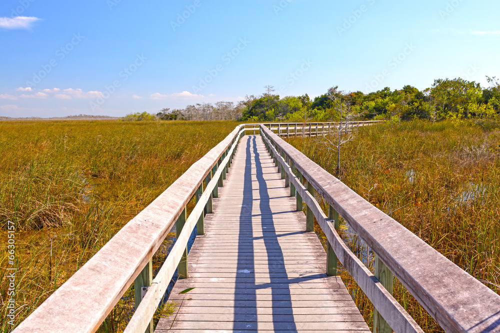 Boardwalk Through a Wetland Marsh