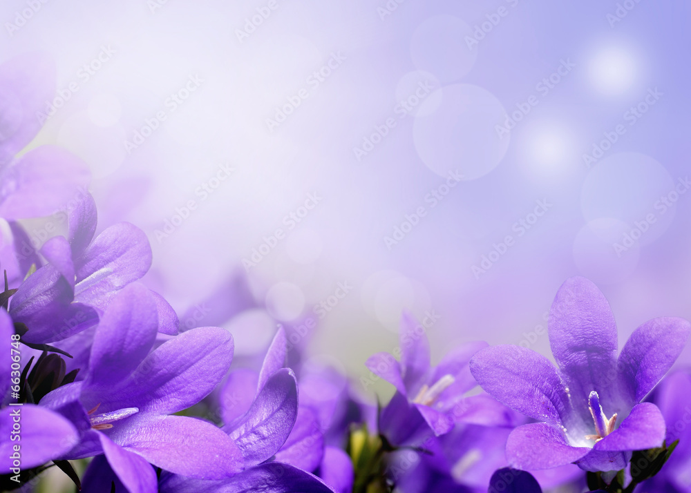 Abstract spring background with purple flowers