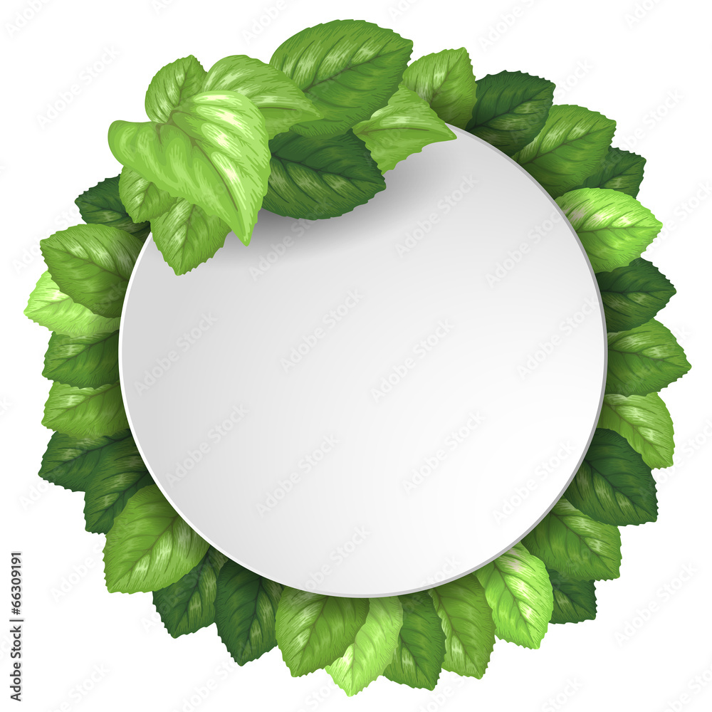 Fototapeta premium Banner with green leaves