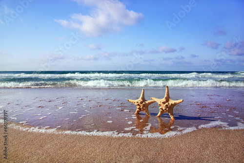 Fototapeta Naklejka Na Ścianę i Meble -  holiday concept - two sea-stars walking on sand beach