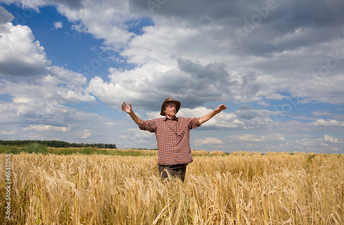 Happy man in wheat field