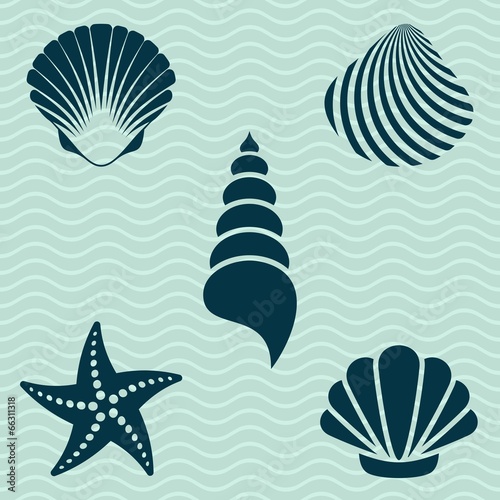 Sea shells