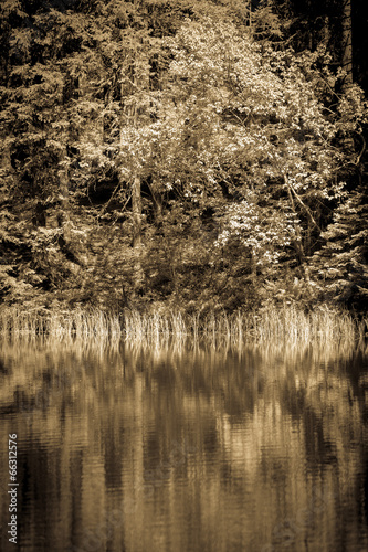 Tarn Vrbicke pleso, Slovakia photo