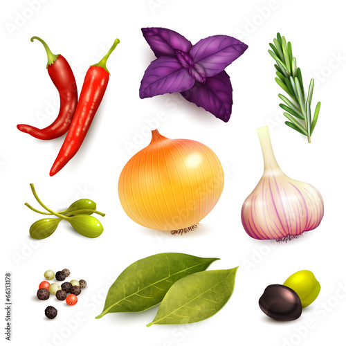 Herbs and spices set