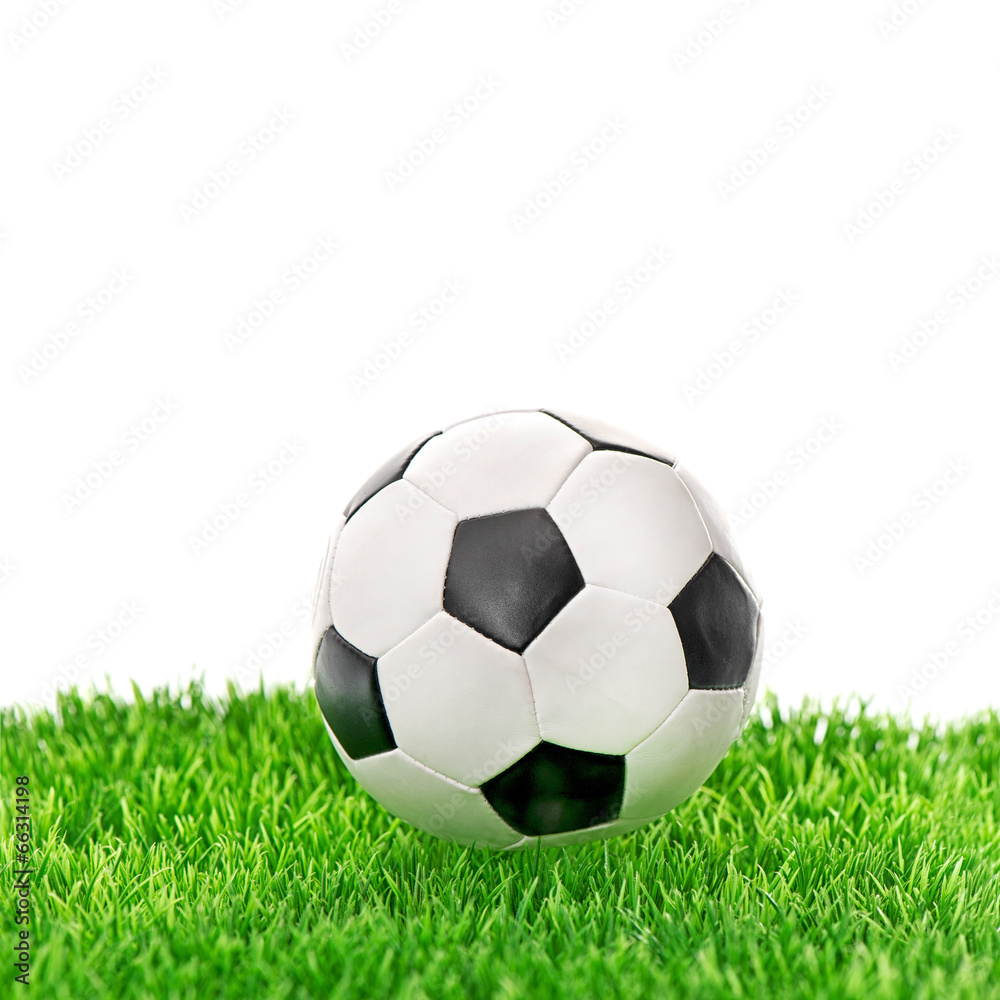soccer ball on green grass over white