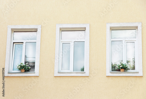 Windows with flowers in pots