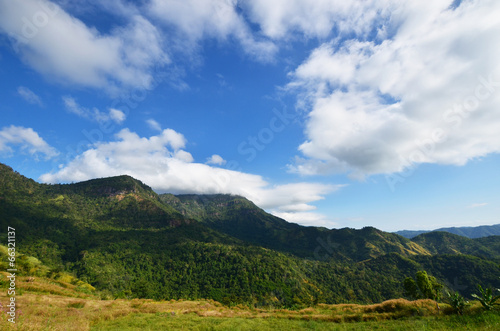 Grass Fields on Mountain