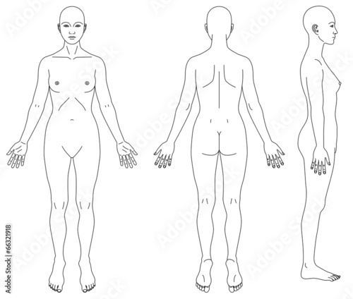 人体図女性の略図