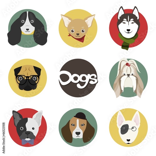 Dog Head Set