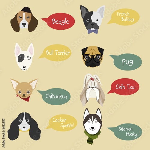 Dog Breed Set