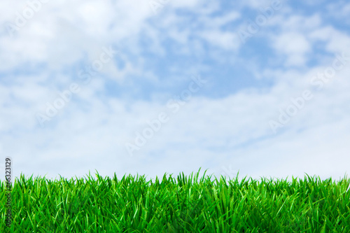 Fototapeta Naklejka Na Ścianę i Meble -  Green grass and blue sky