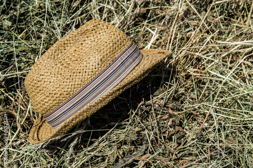 hat, grass clippings, dry grass, cattle, straw photo