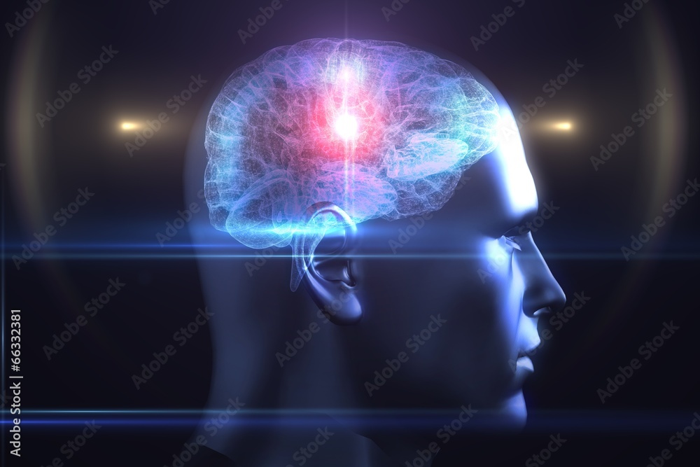 Obraz premium Brain diagram in human head