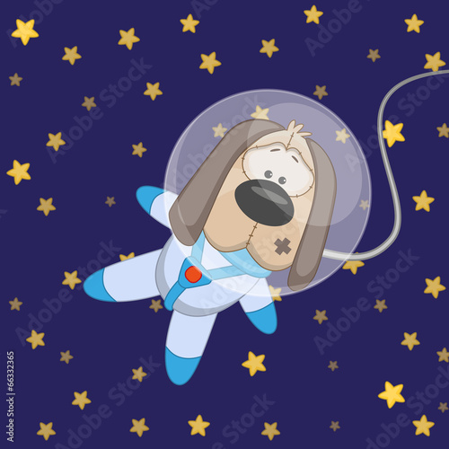 Dog astronaut