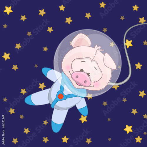 Pig astronaut