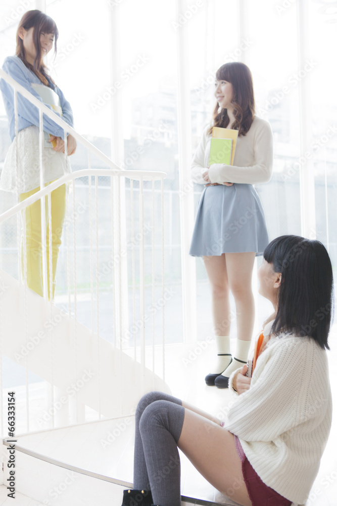 Obraz premium ノートを持って階段で会話する女子学生と階段に座る女子学生