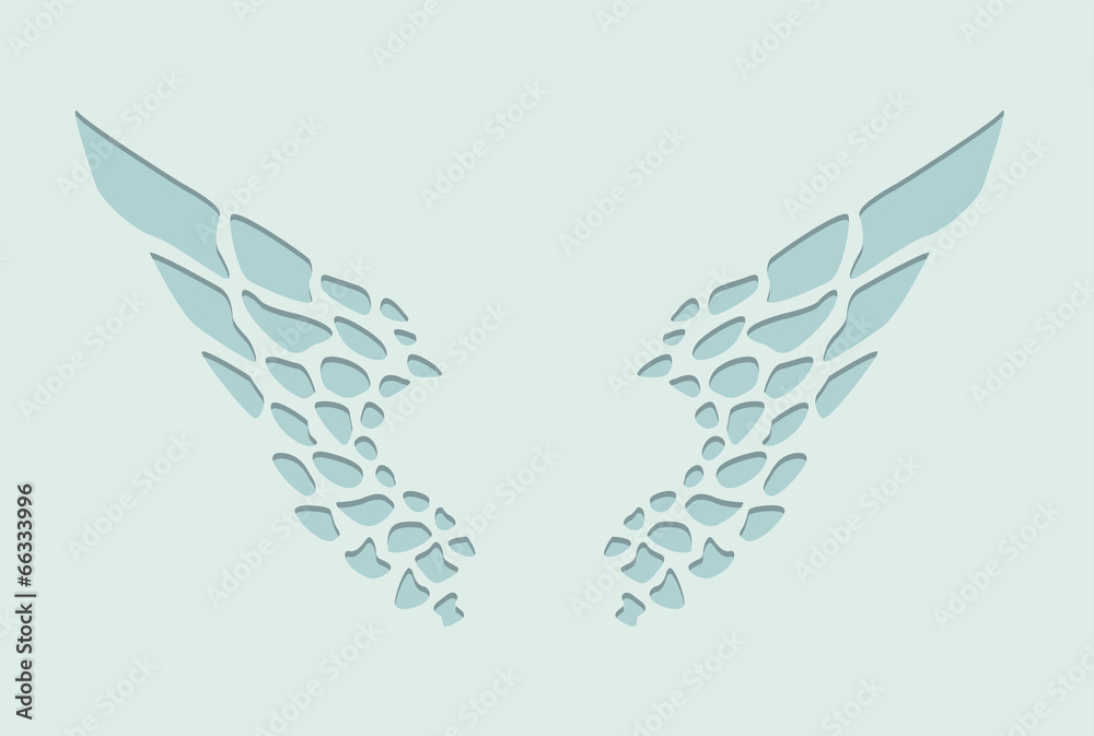 Obraz premium simple abstract wings