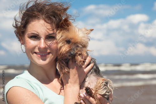yorkshire terrier
