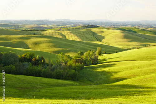 Hills of Tuscany in the morning