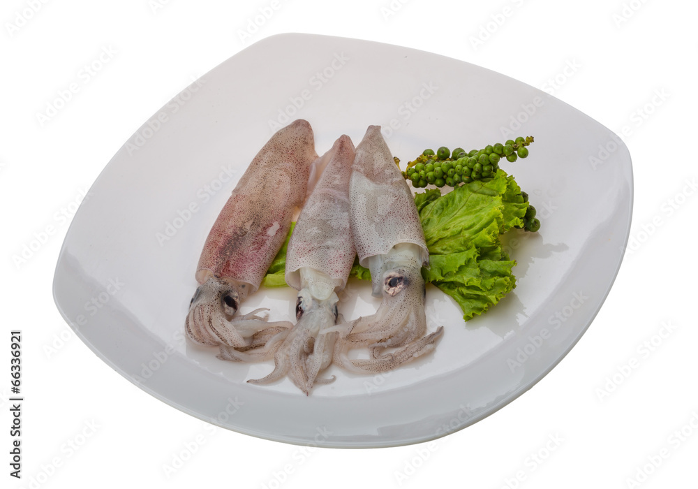Raw calamari Raw calamari