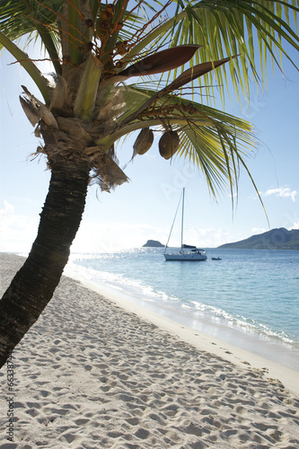 palm island st vincent and the grenadines caribbean 43