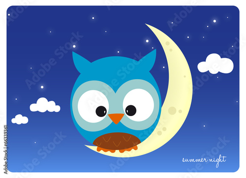 owl sitting on a crescent moon in a starry summer night