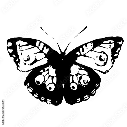 butterflies design