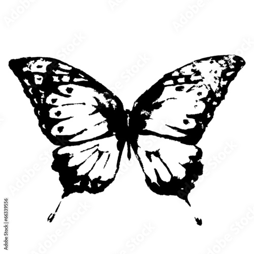 butterflies design