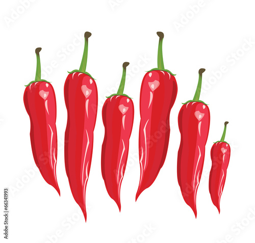 red сhili pepper - Illustration