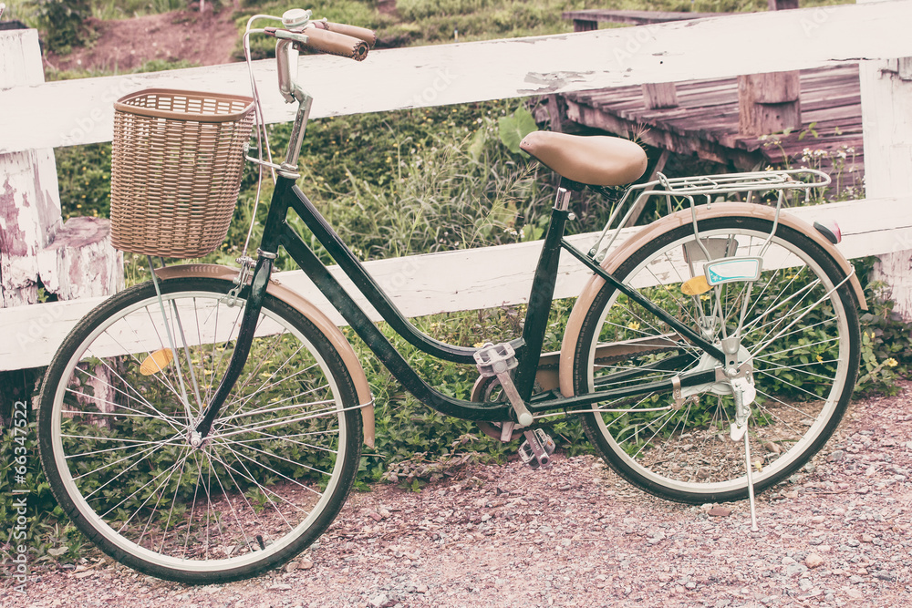 Vintage Bicycle in garden and fence wood