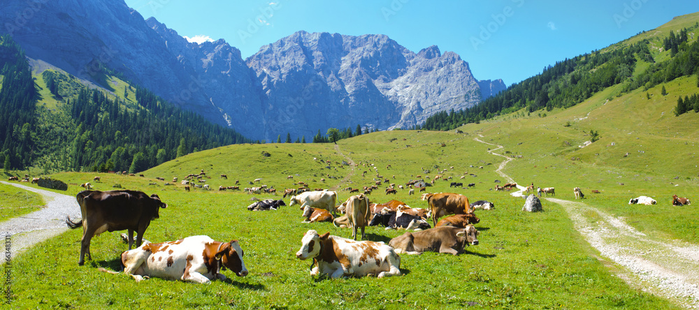 Naklejka premium Panorama Landschaft in Bayern