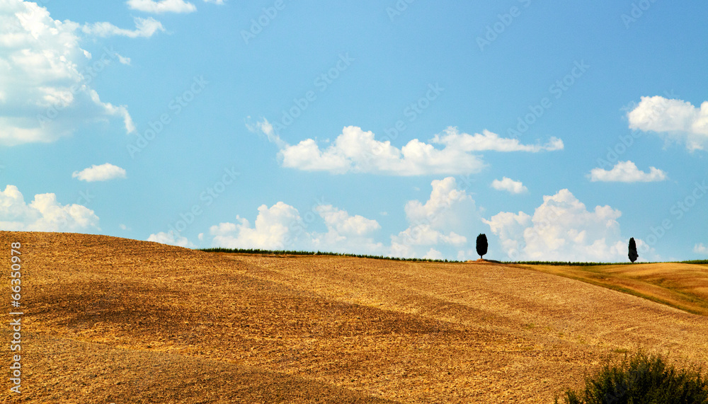 plowed field, background