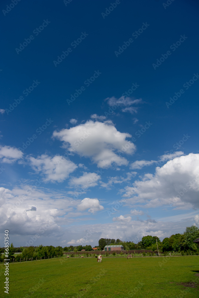 cloudscape above dutch farmland