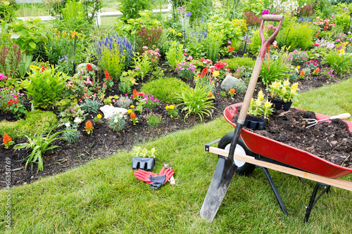 Fototapeta Naklejka Na Ścianę i Meble -  Gardening equipment ready for use