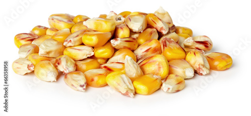 corn seeds on the white background