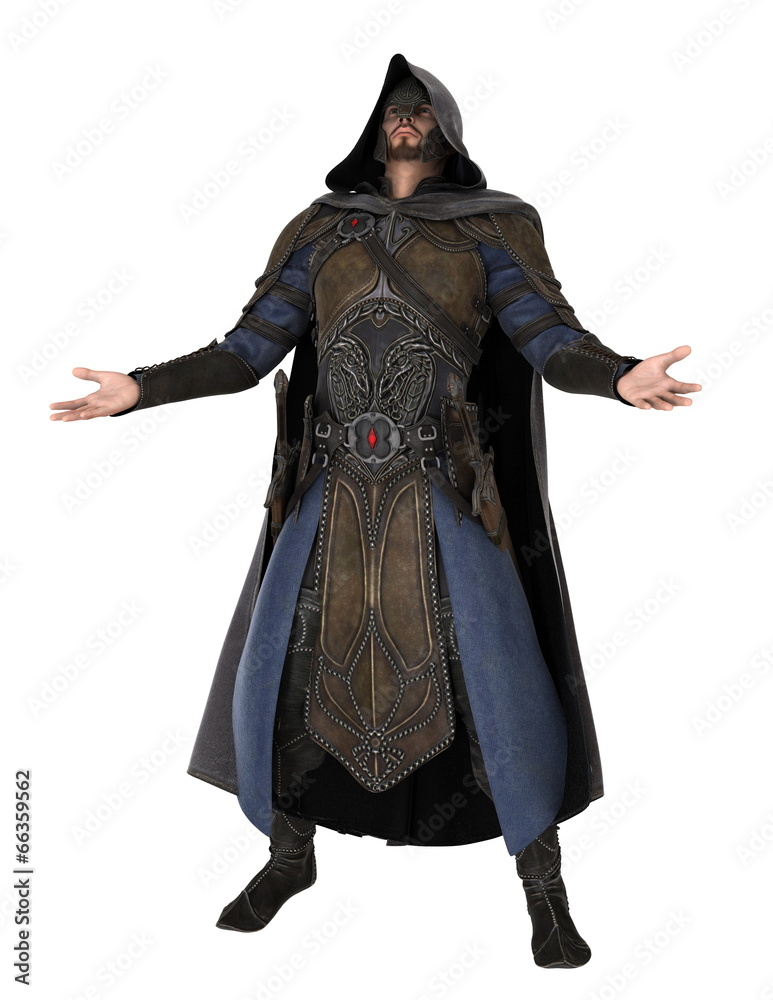 騎士
